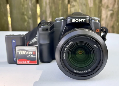 Sony A100 Image