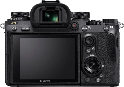 Sony Alpha a9 Image