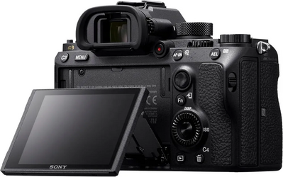 Sony Alpha a9 Image