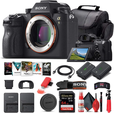 Sony Alpha a9 Image