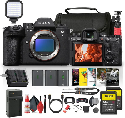 Sony Alpha 1 II Image