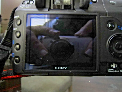 Sony Alpha a200 Image