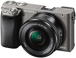 Sony 6000L/H Image