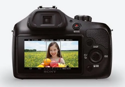 Sony Alpha 3000 Image
