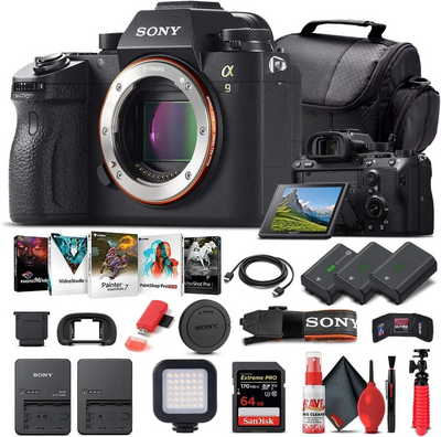 Sony ILCE9/B Image