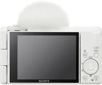 Sony ZV-1F Image