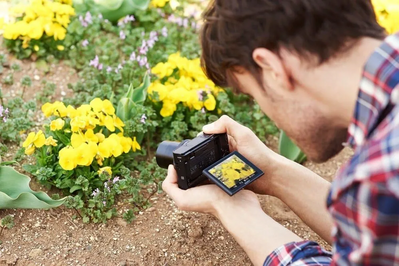 Sony RX100M3 Image