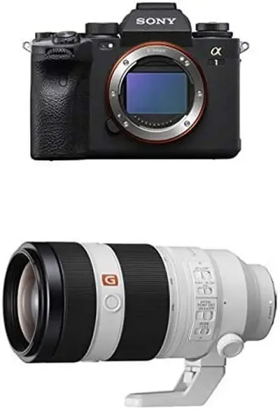 Sony Alpha 1 Image