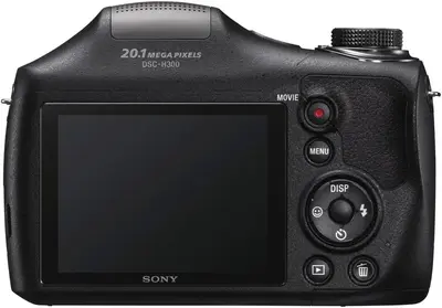 Sony H300 Image