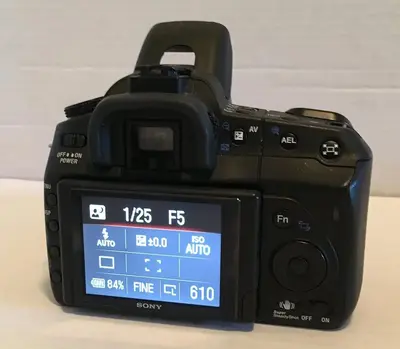 Sony Alpha DSLRA300K Image