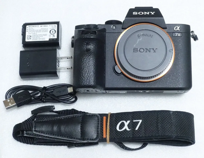 Sony Alpha A7II Image