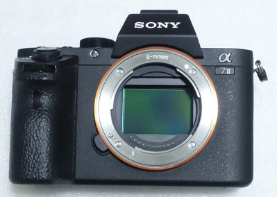 Sony Alpha A7II Image
