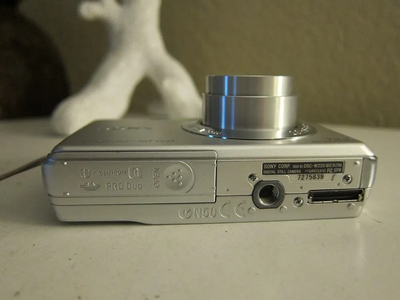 Sony Cybershot DSC-W220 Image