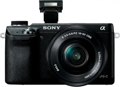 Sony NEX6L/B Image