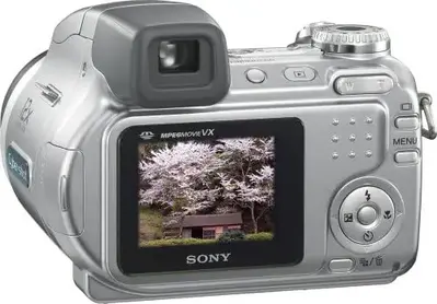 Sony Cybershot DSC-H2 Image