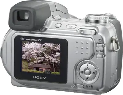 Sony Cybershot DSC-H2 Image