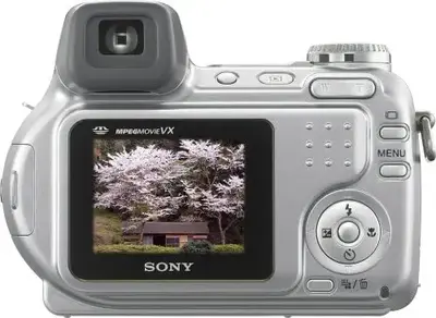 Sony Cybershot DSC-H2 Image