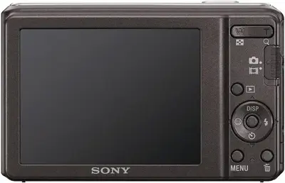 Sony DSC S2100 Image