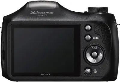 Sony DSC H200 Image