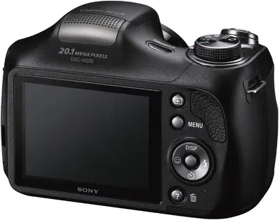 Sony DSC H200 Image