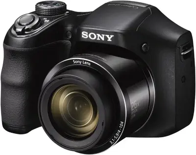Sony DSC H200 Image