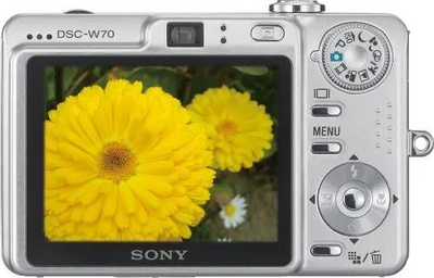 Sony DSCW70 Image