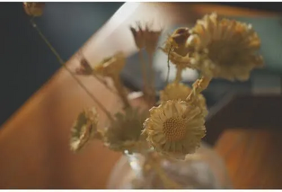 Sony 7CM2L/B Image