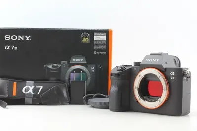 Sony Alpha a7 III Image