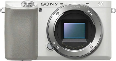 Sony Alpha a6100 Image