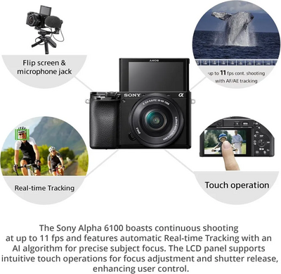Sony 6100Y/B Image