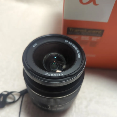 Sony Alpha 55 Image