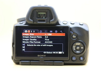 Sony SLT-A55V Image