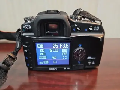 Sony Alpha 100 Image