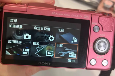 Sony A5000 Image