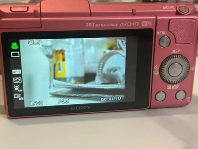 Sony A5000 Image