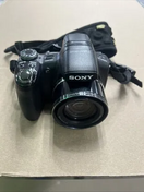 Sony HX1 Image
