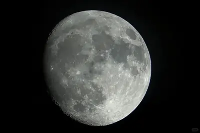 Sony RX10 Image