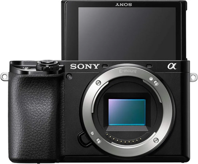 Sony Alpha 6100 K Image