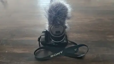 Sony HX400V Image