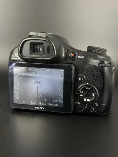 Sony HX400V Image