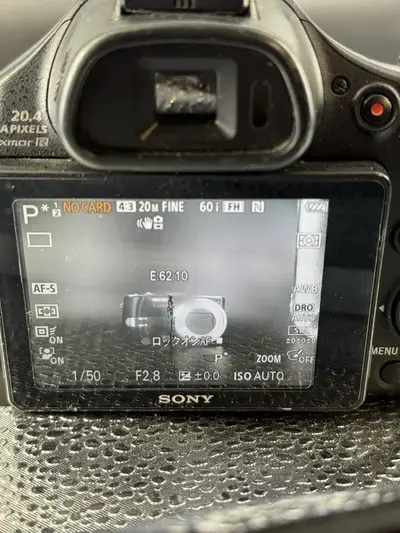 Sony HX400V Image