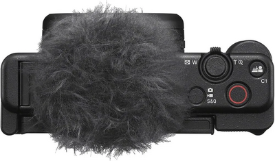 Sony ZV1M2 Image