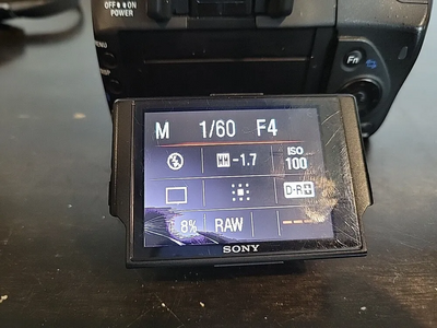 Sony Alpha 350 Image