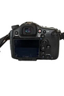 Sony SLT-A99 Image