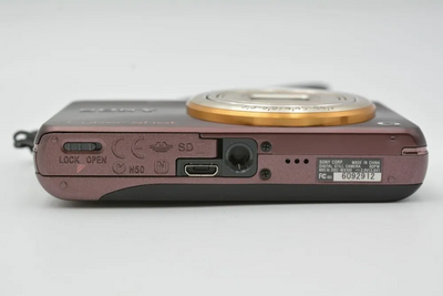 Sony WX100 Image