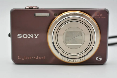 Sony WX100 Image