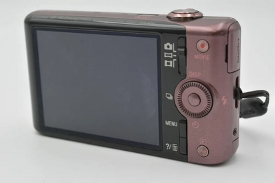 Sony WX100 Image