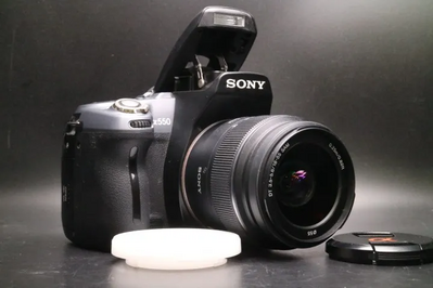 Sony Alpha 550 Image
