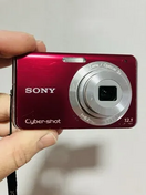 Sony W-190 Image
