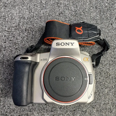 Sony Alpha 7 IV Image